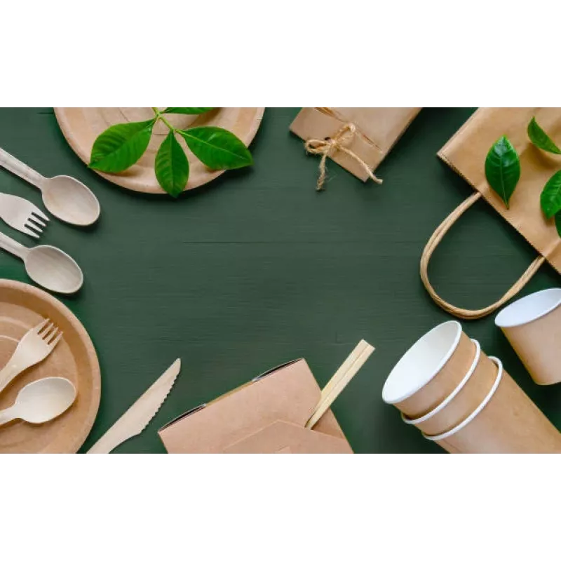 GoGreen Pajitas compostables de caña 20 uds. pajitas naturales