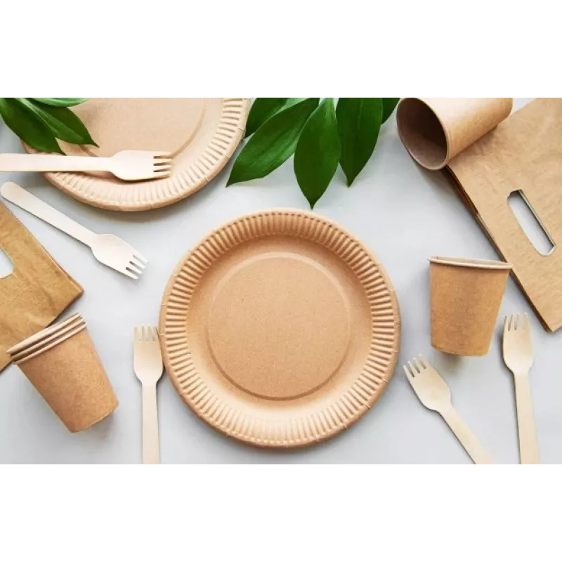 GOGREEN Platos de papel kraft Go Green Ø22cm 20 unidades