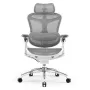 Sihoo DORO C300 Pro Silla de oficina ergonómica de malla blanca