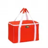 GIOSTYLE Bolsa térmica Evo Square surtido, verde/rojo/azul con decoración, 15 L