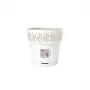 STEFANPLAST Maceta Gaia con plato Ø20x19cm Blanco