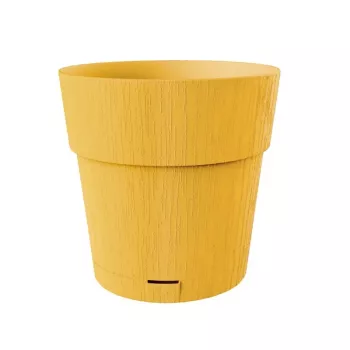 STEFANPLAST Maceta redonda Ethica con plato, 25 cm, Amarillo mostaza