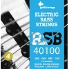 Galli RSB40100 cuerdas para bajo - juego de 4 cuerdas, acero niquelado, entorchadas redondas, .040-.100, escala larga