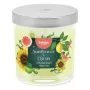 Vela aromática en vaso BOLSIUS Floral Fusion, girasol y cítricos, Ø80x72mm