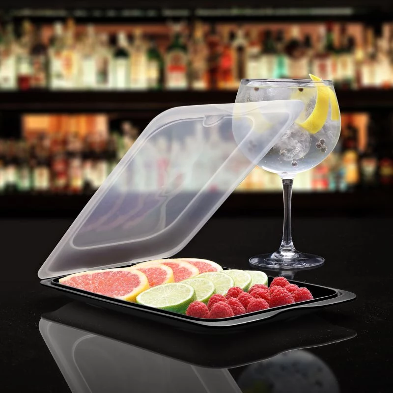 TATAY Recipiente para fruta y cóctel de sushi 17x25,2x3,2 cm negro