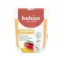 Vela aromática BOLSIUS True Scents mango en vaso Ø80x73mm