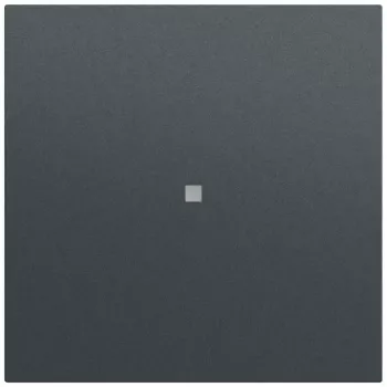 Gira System 70 Tecla con ventana de control, antracita (329073)