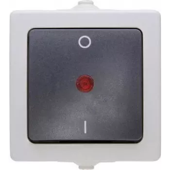 HEINRICH KOPP Nautic Interruptor unipolar de superficie, IP44, gris, 10A 250V AC 565296007
