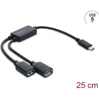 Delock Hub USB 5 Gbps 2 puertos Type-A con cable y conector USB Type-C™ 25 cm (64373)