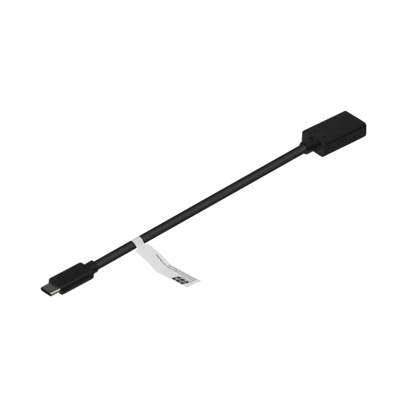 EFB-Elektronik adaptador USB-C a DisplayPort 1.2, 4K 60 Hz, negro