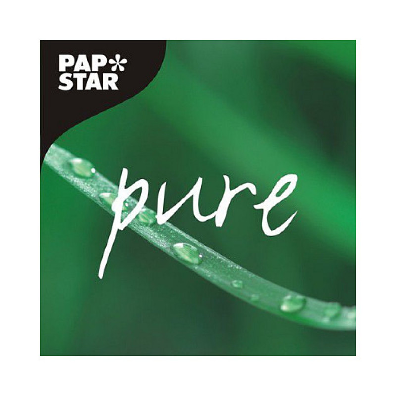 PAPSTAR Palillos de dientes pure marrón (16692)