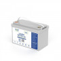 Volt Polska Batería de litio-hierro-fosfato LiFePO4 12V 100Ah, 100A