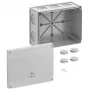 Spelsberg Abox Pro 250-L Caja de derivación, IP66/IP67/IP69, 42540001