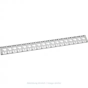 Triton regleta de gestión de cables de 19 pulgadas para armario de 1000 mm de profundidad, gris