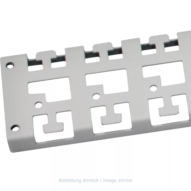 Triton regleta de gestión de cables de 19 pulgadas para armario de 1000 mm de profundidad, gris
