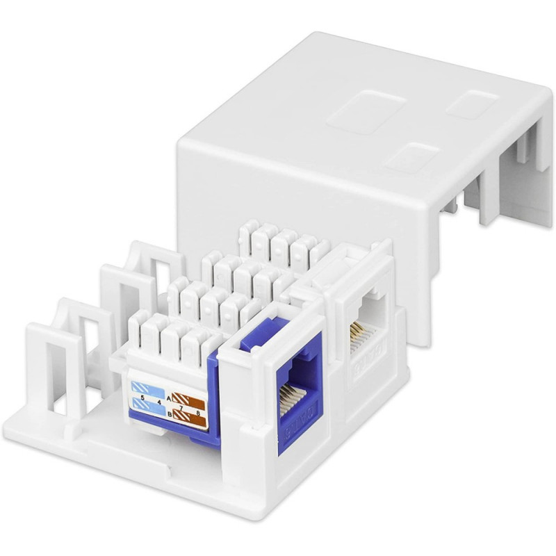Techly 366310 Caja de superficie para 2 módulos Keystone RJ45 o RJ11/12