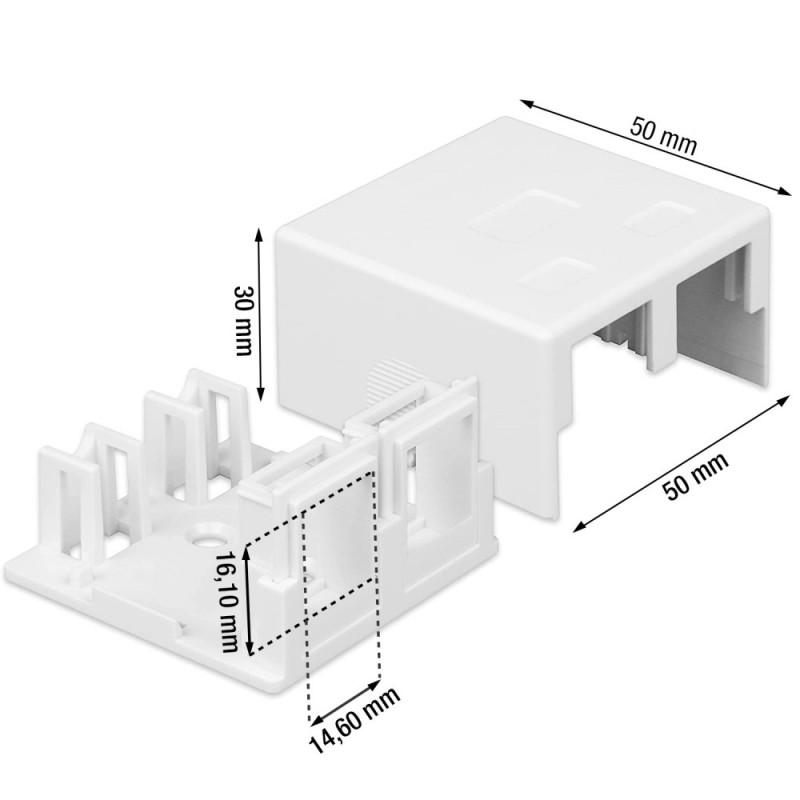 Techly 366310 Caja de superficie para 2 módulos Keystone RJ45 o RJ11/12