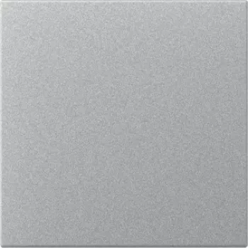 GIRA 349626 tecla recta, System 55, color aluminio