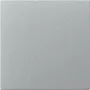 GIRA 349626 tecla recta, System 55, color aluminio