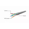 Gembird Cat5e U/UTP cable de red RJ45, 2 m, naranja