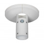 B-Tech SYSTEM V soporte de techo fijo para tubos de 38 mm, blanco (BT5920/W)