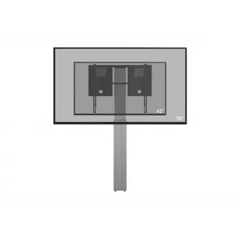 celexon Expert soporte de pantalla eléctrico de altura ajustable Adjust-4275WS