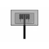 celexon Expert soporte de pantalla eléctrico de altura ajustable Adjust-4275WB