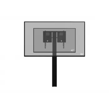 celexon Expert soporte de pantalla eléctrico de altura ajustable Adjust-4275WB