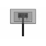 celexon Expert soporte de pantalla eléctrico de altura ajustable Adjust-4275WB