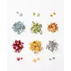 folia Clips de bolsa, multicolor