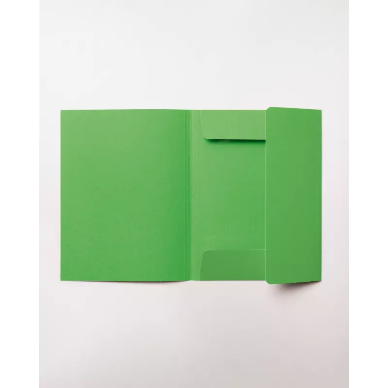 Carpeta de archivo folia DIN A4, verde