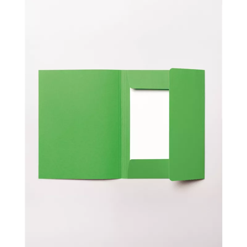 Carpeta de archivo folia DIN A4, verde