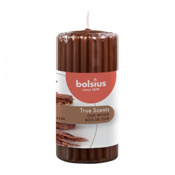 Bolsius True Scents vela aromática cilíndrica Ø58 x 120 mm, Oud Wood