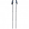 Bastones de trekking para adultos VIKING Kalio, negro
