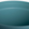 Vaso Sea to Summit Passage, verde