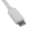 Akyga AK-AD-55 cable adaptador USB-C (conector macho) a VGA (conector hembra), Full HD, 15 cm