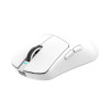White Shark BORS-W WGM-5021 ratón gaming inalámbrico, 12000 DPI, negro