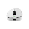 White Shark CAMILLUS WGM-9013 ratón gaming, blanco
