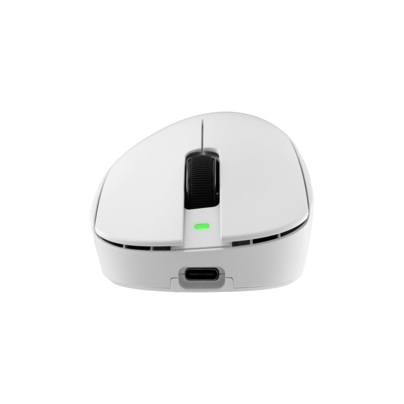 White Shark CAMILLUS WGM-9013 ratón gaming, blanco