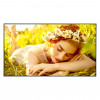 LG 55UL5Q-M pantalla LCD de 55 pulgadas, 3840 x 2160, 4K Ultra HD, 16:9