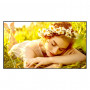 LG 55UL5Q-M pantalla LCD de 55 pulgadas, 3840 x 2160, 4K Ultra HD, 16:9