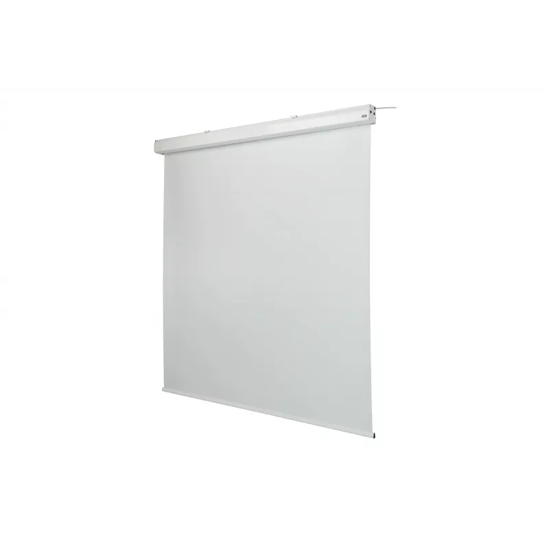 celexon Expert pantalla de proyección motorizada, 130" (330 cm), 230 V
