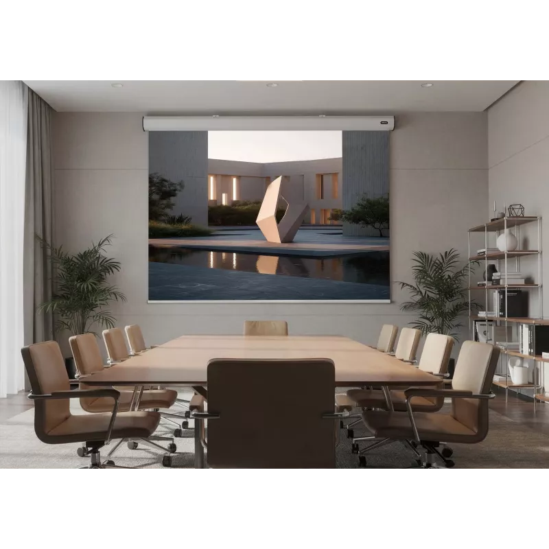 celexon Expert pantalla de proyección motorizada, 130" (330 cm), 230 V