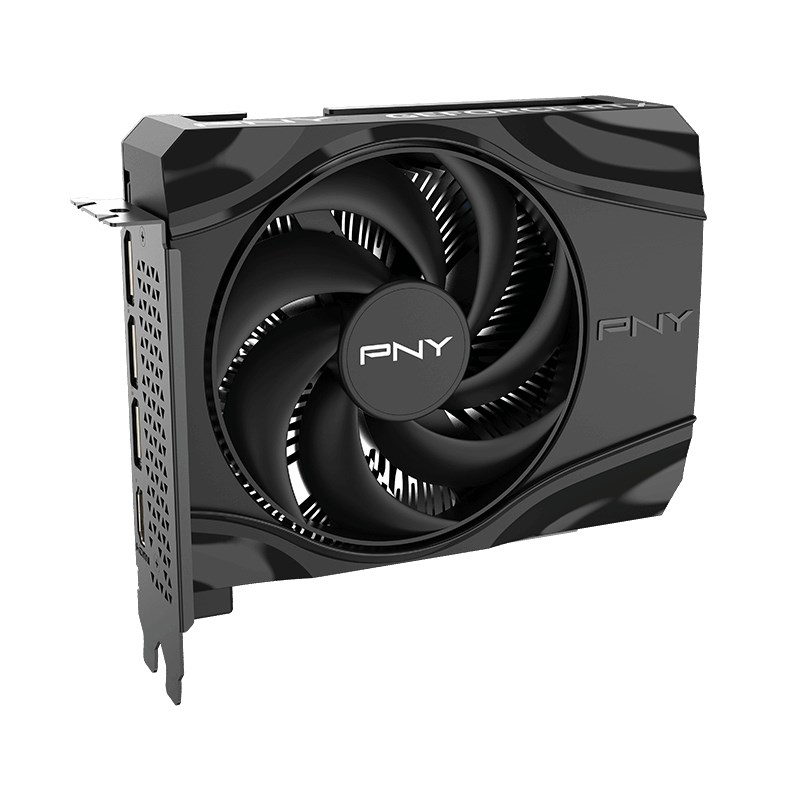 PNY GeForce RTX 5060 Single Fan tarjeta gráfica, 8 GB GDDR7 (VCG50608SFXPB1)