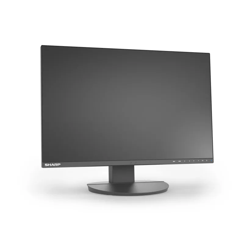 Sharp MultiSync EA241W monitor profesional IPS de 24 pulgadas, 1920x1200, negro