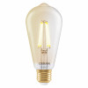 Osram SMART+ MATTER Filament Dimmable Classic Edison 53 824 bombilla inteligente, dorada, E27, 6 W, blanco cálido, Wi-Fi