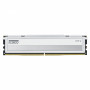 Módulo de memoria Klevv Fit V KD5AGU880-56K300Q DDR5-5600 CL30 de 16 GB