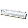 Módulo de memoria Klevv Fit V KD5AGU880-56K300Q DDR5-5600 CL30 de 16 GB