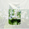 Yankee Candle Clean Cotton ambientador de coche para colgar