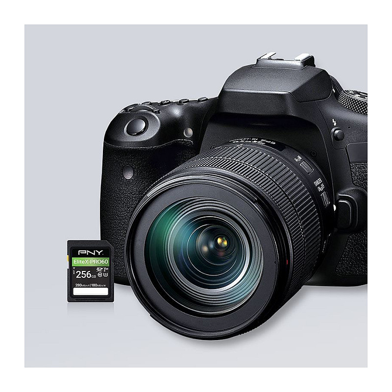 PNY EliteX-PRO60 tarjeta de memoria SDXC 256 GB, UHS-II, Class 10, P-SD256V60280EXP6-GE